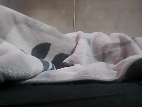 Snapshot of LaneYam chatting on April 2, 5:05 am LaneYam online show from April 2, 5:05 am