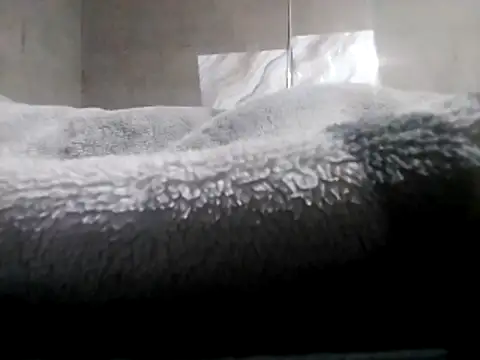 Snapshot of LaneYam chatting on April 27, 11:14 pm LaneYam online show from April 27, 11:14 pm