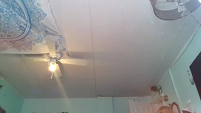 hunybunz69 online show from February 28, 6:31 pm