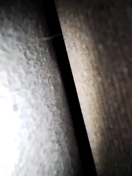 Snapshot of Speedyx0 chatting on February 3, 1:30 pm Speedyx0 online show from February 3, 1:30 pm