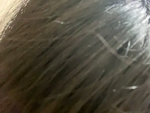 riri riri jp online show from December 15, 11:25 am