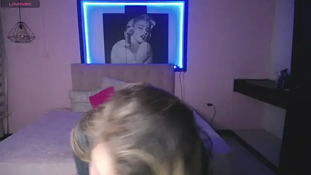 Kitten Cam online show from November 14, 3:16 am