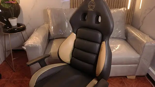 Kitten Cam online show from February 20, 3:36 am