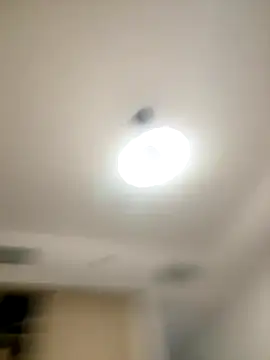 Snapshot of SexySophiaax chatting on October 20, 1:00 pm SexySophiaax online show from October 20, 1:00 pm