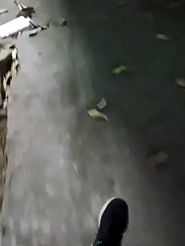 Raj41 online show from January 13, 2:44 pm