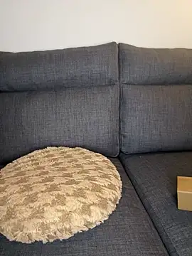 Snapshot of Lobna-alami chatting on February 11, 11:54 pm Lobna-alami online show from February 11, 11:54 pm