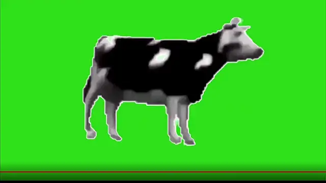 test FramedTishri m online show from May 13, 3:20 pm