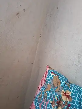 novinhatransexy online show from November 19, 5:57 pm