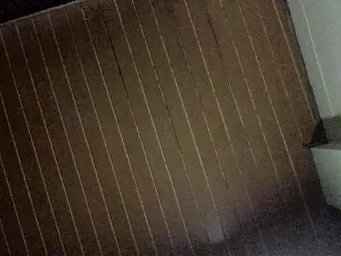 Nooneisthis online show from December 3, 6:32 am