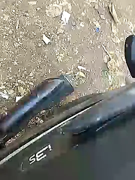 Playboy bhabhi 00 online show from February 8, 11:01 am