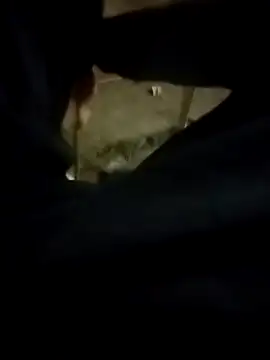 Playboy bhabhi 00 online show from February 13, 2:42 pm