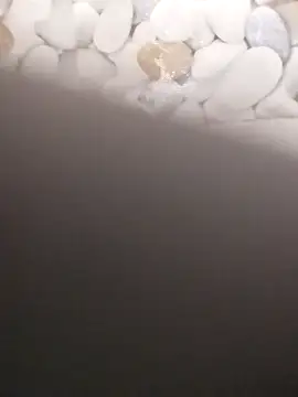 Playboy bhabhi 00 online show from February 20, 7:23 am