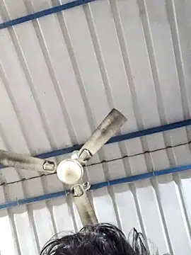 Snapshot of birds0641 chatting on February 25, 5:52 am birds0641 online show from February 25, 5:52 am