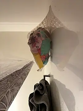 Chori56 online show from January 7, 2:14 am