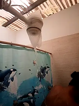 Snapshot of Zaira_Rose_ chatting on February 24, 1:09 pm Zaira Rose online show from February 24, 1:09 pm