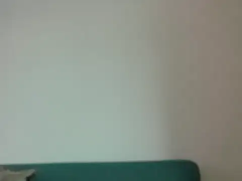 Snapshot of Mermaid-hana chatting on April 3, 11:30 am Mermaid-hana online show from April 3, 11:30 am