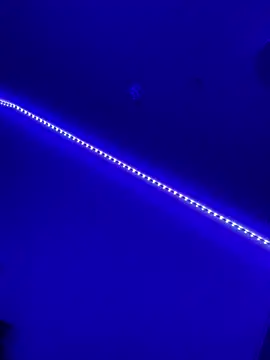 Snapshot of DaniJohnson chatting on February 7, 3:19 pm DaniJohnson online show from February 7, 3:19 pm