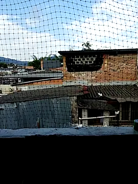 Niick01  online show from November 9, 8:40 pm