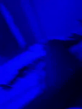 bigbola304 online show from March 31, 2:13 am