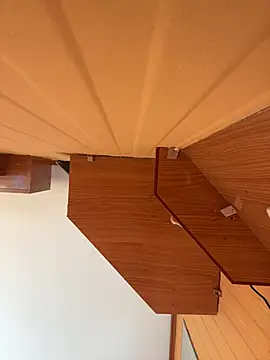 Snapshot of laarti chatting on February 12, 10:43 am laarti online show from February 12, 10:43 am