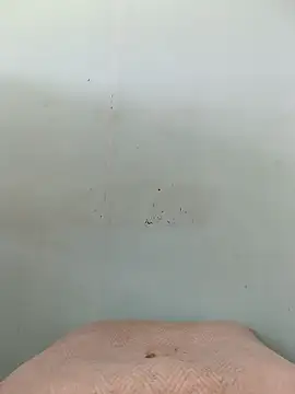 Snapshot of Dracoandr chatting on October 11, 4:05 pm Dracoandr online show from October 11, 4:05 pm