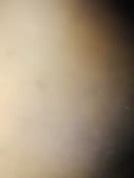 Crowlers online show from March 16, 12:01 am