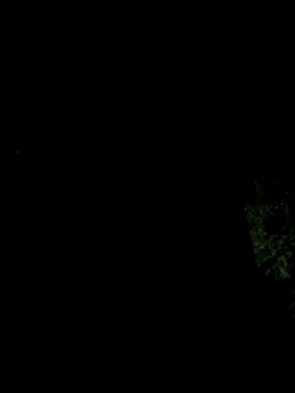 Snapshot of hintly chatting on October 29, 11:12 am hintly online show from October 29, 11:12 am