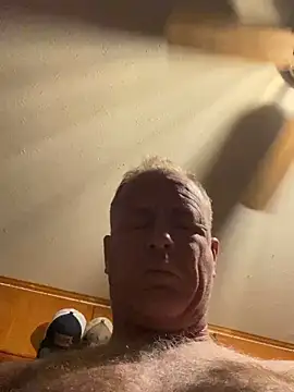 Snapshot of hintly chatting on February 17, 12:34 pm hintly online show from February 17, 12:34 pm