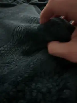 Snapshot of kishamis69 chatting on February 13, 5:01 pm kishamis69 online show from February 13, 5:01 pm