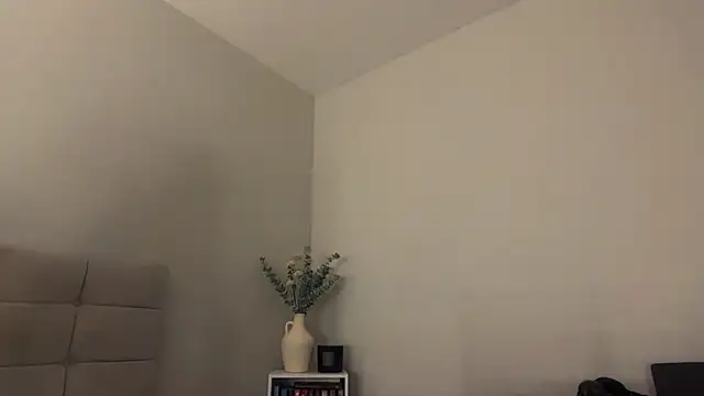 Snapshot of skyejde chatting on April 5, 9:45 pm skyejde online show from April 5, 9:45 pm