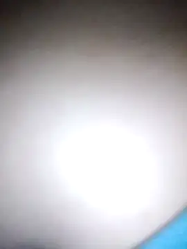 Snapshot of Anoma-arab chatting on November 27, 11:45 am Anoma-arab online show from November 27, 11:45 am