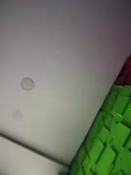 Dulce  Boyd online show from January 19, 1:59 pm