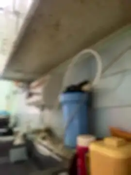 Carola-Ross online show from January 6, 4:32 pm