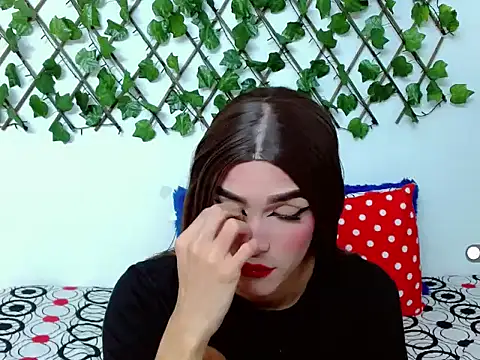 dominic 00 online show from February 25, 8:09 pm