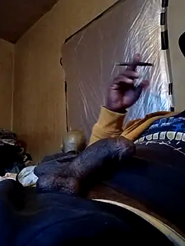 birdg online show from January 16, 9:52 pm