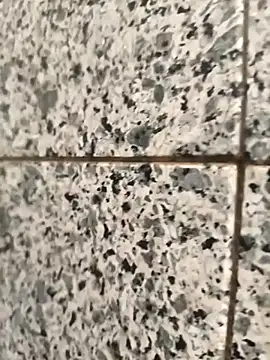 henri69 online show from February 24, 2:42 am