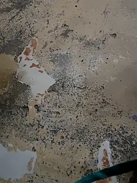 urrubybaby online show from February 14, 10:28 am