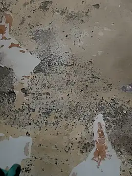 urrubybaby online show from February 15, 8:44 am