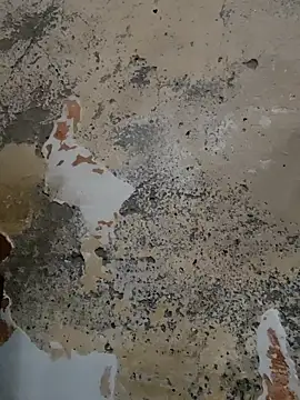 urrubybaby online show from February 20, 9:44 am