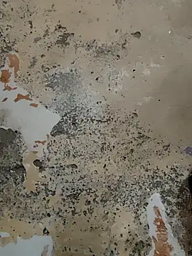 urrubybaby online show from February 21, 7:12 am