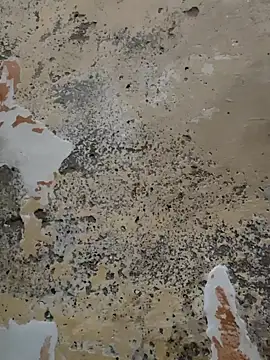 urrubybaby online show from February 21, 5:31 pm