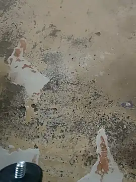 urrubybaby online show from February 22, 4:09 pm