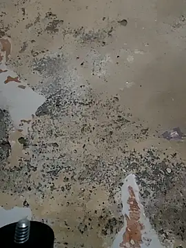 urrubybaby online show from February 23, 5:45 am