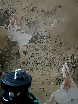 urrubybaby online show from February 24, 11:54 am