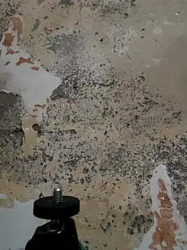 urrubybaby online show from March 11, 6:32 am