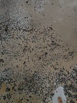 urrubybaby online show from March 13, 6:26 am