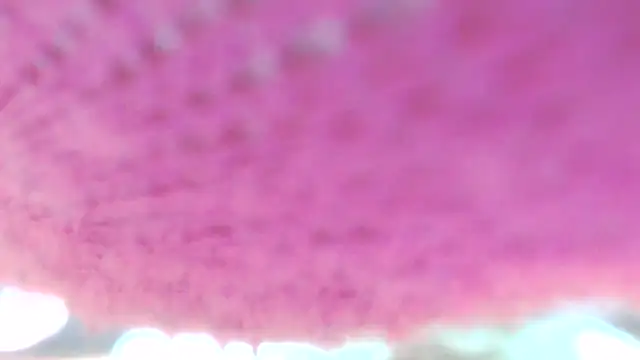 Snapshot of Sweetieanalxxx chatting on April 5, 12:30 am Sweetieanalxxx online show from April 5, 12:30 am