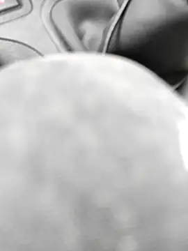 stfbi online show from February 24, 1:31 pm