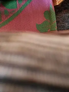 cocktony online show from January 13, 9:36 am