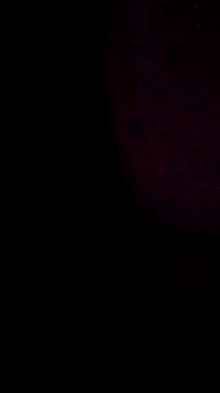 Snapshot of salchichon_69 chatting on March 11, 8:31 am salchichon 69 online show from March 11, 8:31 am